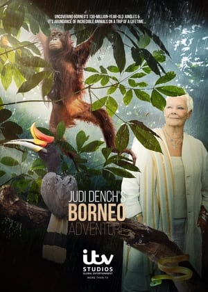 Judi Dench's Wild Borneo Adventure poszter