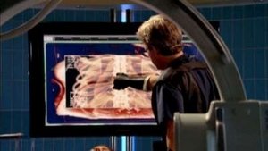 CSI: New York-i helyszínelők 4. évad Ep.8 Buligyilkos