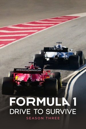 Formula 1: Hajsza a túlélésért