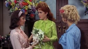 Petticoat Junction 3. évad Ep.17 17. epizód