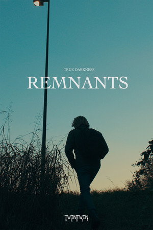 TRUE DARKNESS: REMNANTS poszter
