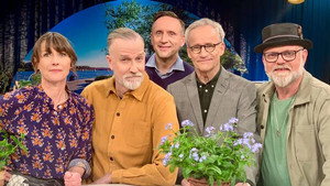 Go'kväll 50. évad Ep.68 68. epizód