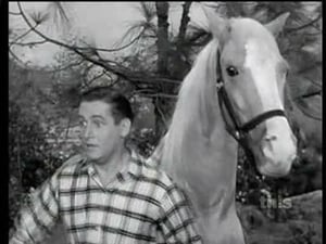 Mister Ed 2. évad Ep.7 7. epizód