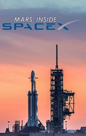 Utunk a Marsra a SpaceX-szel poszter