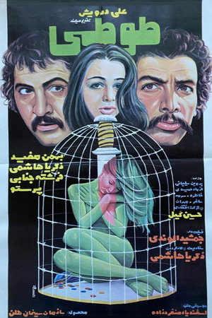 طوطی poszter