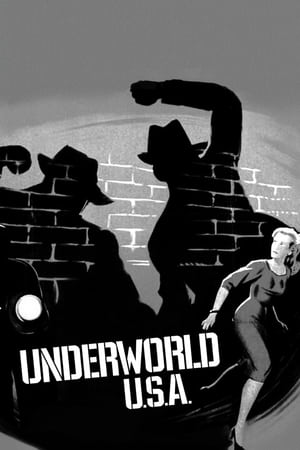 Underworld U.S.A. poszter