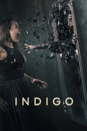 Indigo poszter