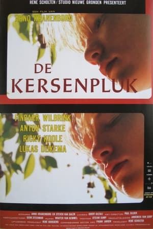 De kersenpluk