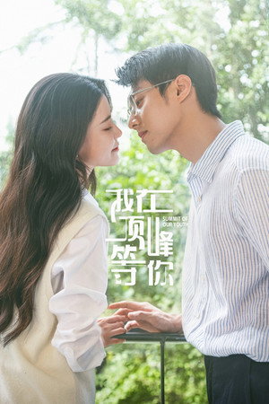 我在顶峰等你 poszter