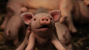 Oink háttérkép
