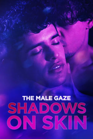 The Male Gaze: Shadows on Skin poszter