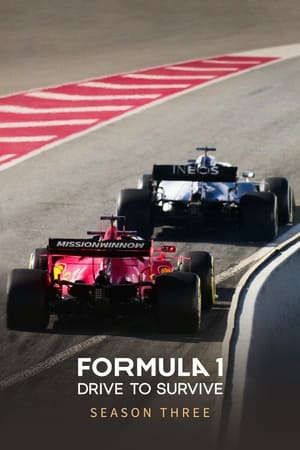 Formula 1: Hajsza a túlélésért