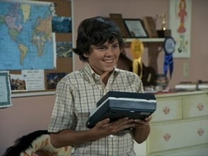 The Brady Bunch 3. évad Ep.9 9. epizód