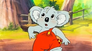 Blinky Bill kalandjai kép