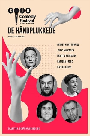 Zulu Comedy Festival: De håndplukkede poszter