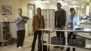 NCIS: Hawaii 3. évad Ep.10 10. epizód