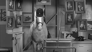 Mister Ed 4. évad Ep.1 1. epizód