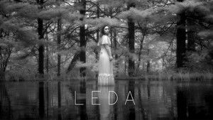 Leda háttérkép