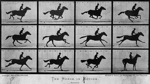 Sallie Gardner at a Gallop háttérkép