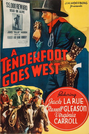 A Tenderfoot Goes West poszter