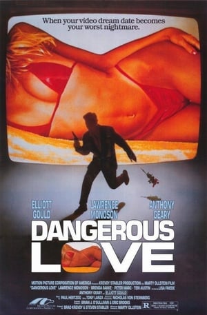 Dangerous Love poszter