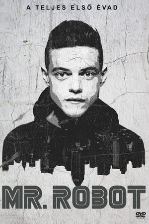 Mr. Robot