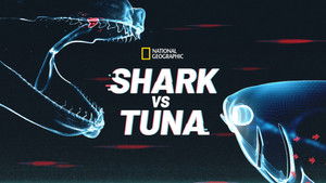 Shark vs. Tuna háttérkép