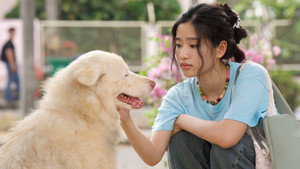 โกฮัง..หัวใจโกโฮม háttérkép