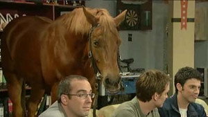 The Chaser's War on Everything Season 1 Ep.20 20. epizód