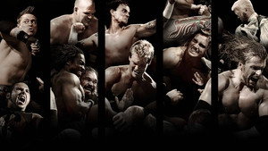 WWE Royal Rumble 2009 háttérkép