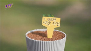 유 퀴즈 온 더 블럭 Season 1 Ep.111 111. epizód