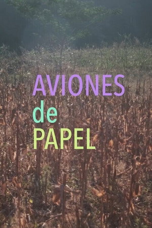 Aviones de papel poszter