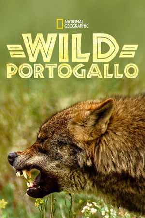 Vad Portugália poszter