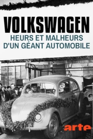 Die Macht und ihr Preis – Die Akte VW poszter