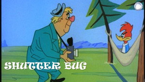 Shutter Bug háttérkép
