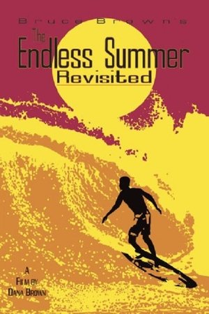 The Endless Summer Revisited poszter
