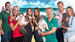 Bondi Vet: Coast to Coast kép