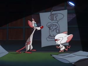 Pinky and the Brain 4. évad Ep.4 4. epizód