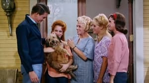 Petticoat Junction 4. évad Ep.16 16. epizód