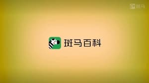 斑马百科 kép