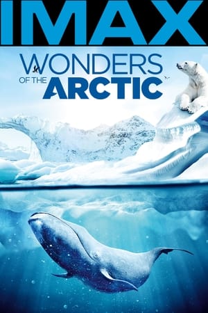 Wonders of the Arctic poszter