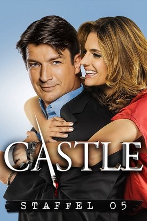 Castle poszter