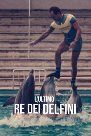 Mi történt a delfinkirállyal? poszter