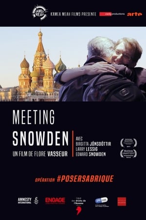 Meeting Snowden poszter