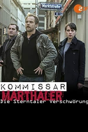 Kommissar Marthaler: Die Sterntaler-Verschwörung