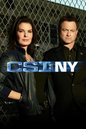 CSI: New York-i helyszínelők poszter