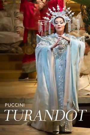 The Metropolitan Opera: Turandot poszter