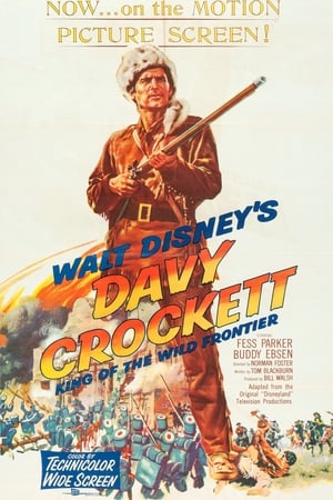 Davy Crockett, a vadnyugat királya poszter