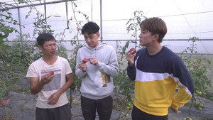 香港原味道 3. évad Ep.5 5. epizód