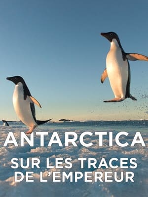 Antarctica, sur les traces de l'empereur poszter